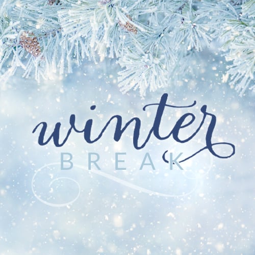 snowy evergreen branches