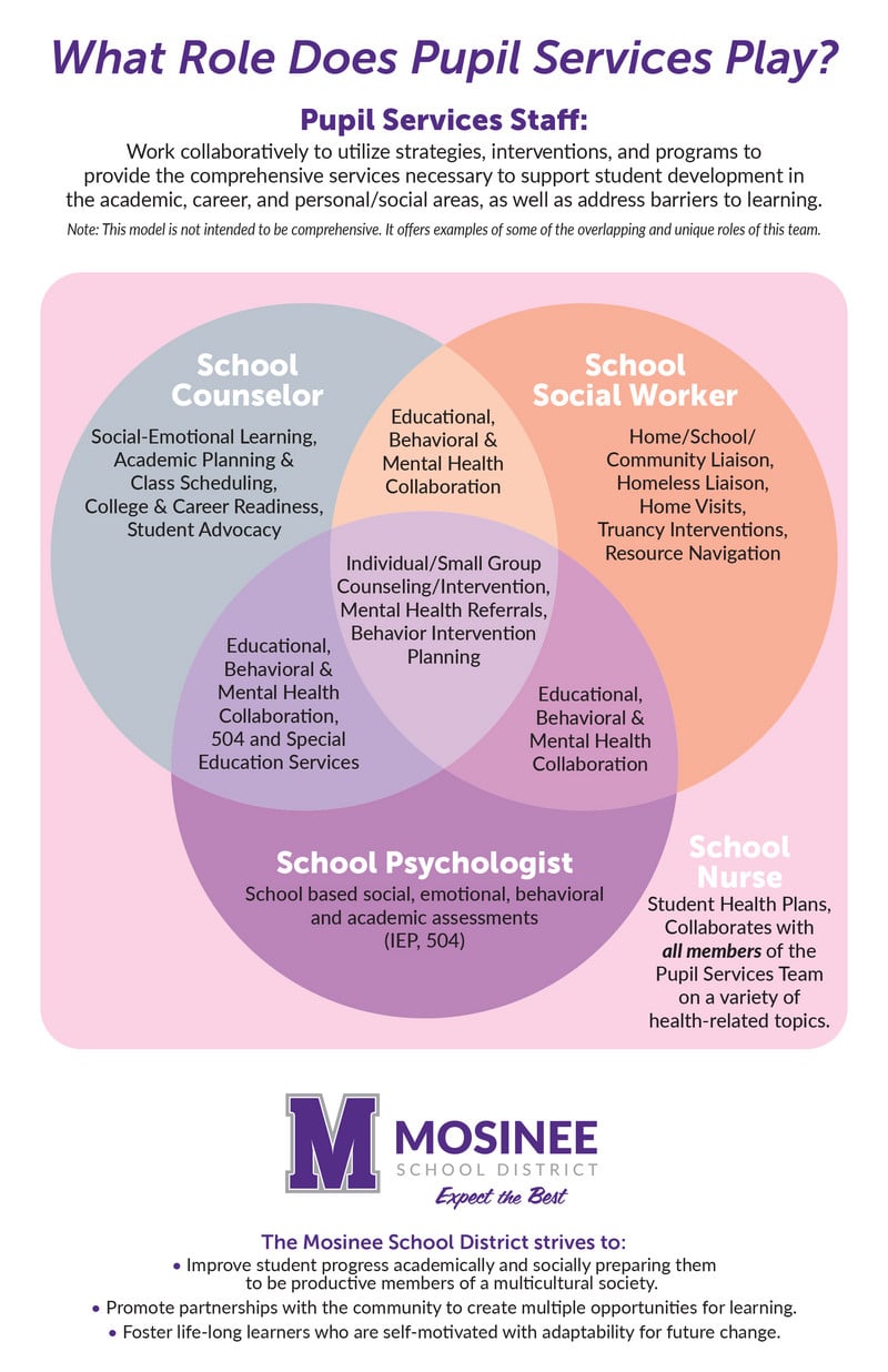 Explanation of Pupil Services Roles in the District